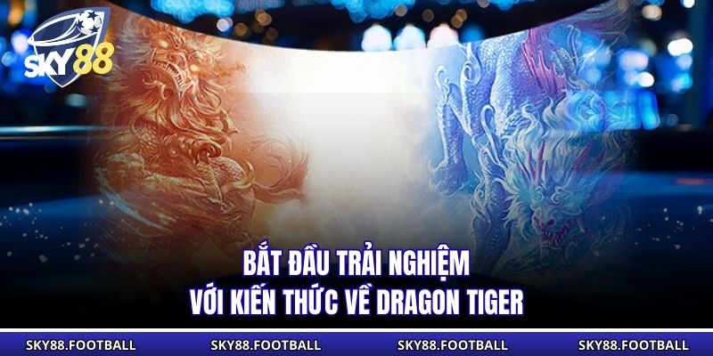 Bắt đầu trải nghiệm với kiến thức về Dragon Tiger