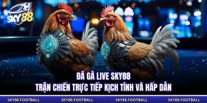 Đá Gà Live