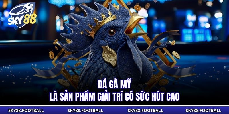 Đá gà Mỹ là sản phẩm giải trí có sức hút cao