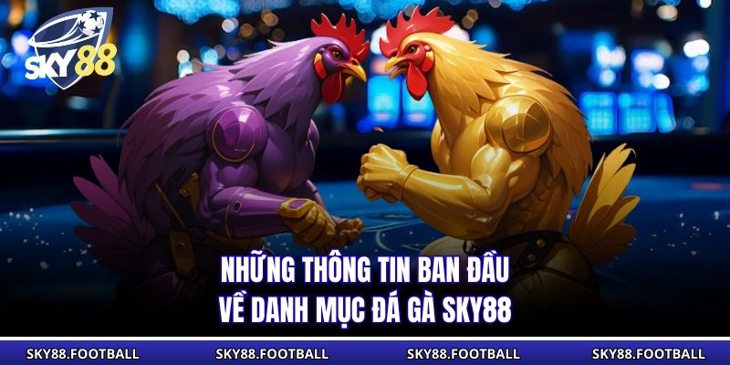 Những thông tin ban đầu về danh mục đá gà SKY88