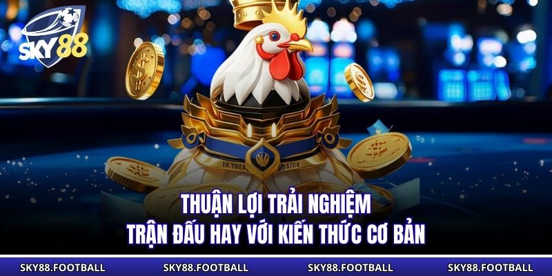 Thuận lợi trải nghiệm trận đấu hay với kiến thức cơ bản