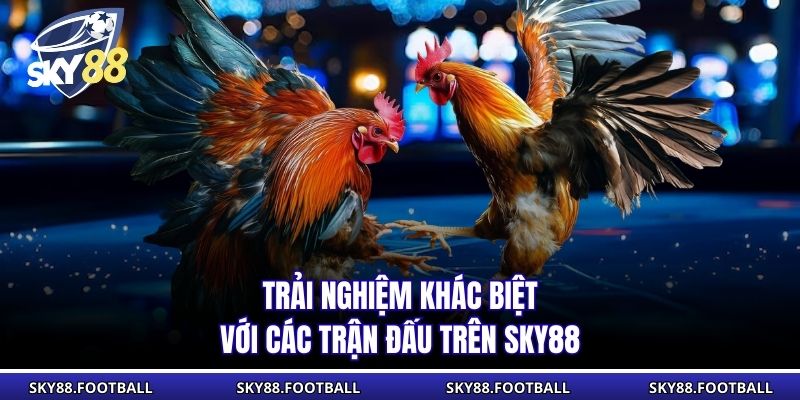 Trải nghiệm khác biệt với các trận đấu trên SKY88