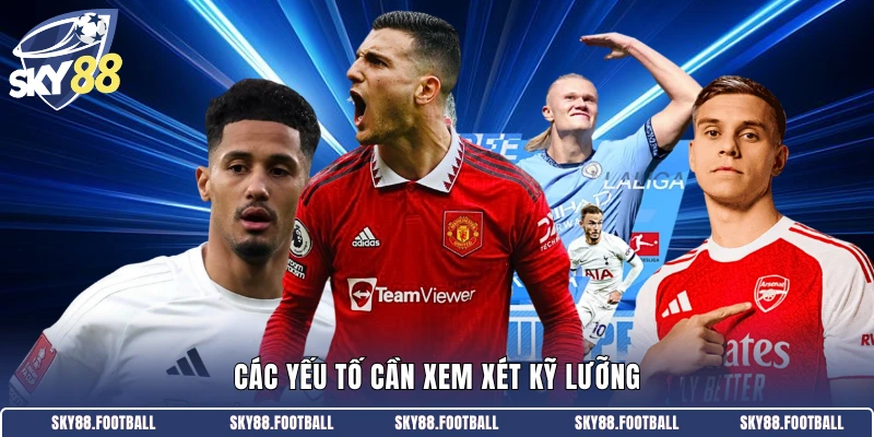 Các yếu tố cần xem xét kỹ lưỡng