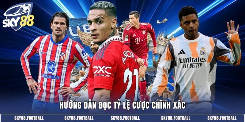 Hướng dẫn đọc tỷ lệ cược chính xác